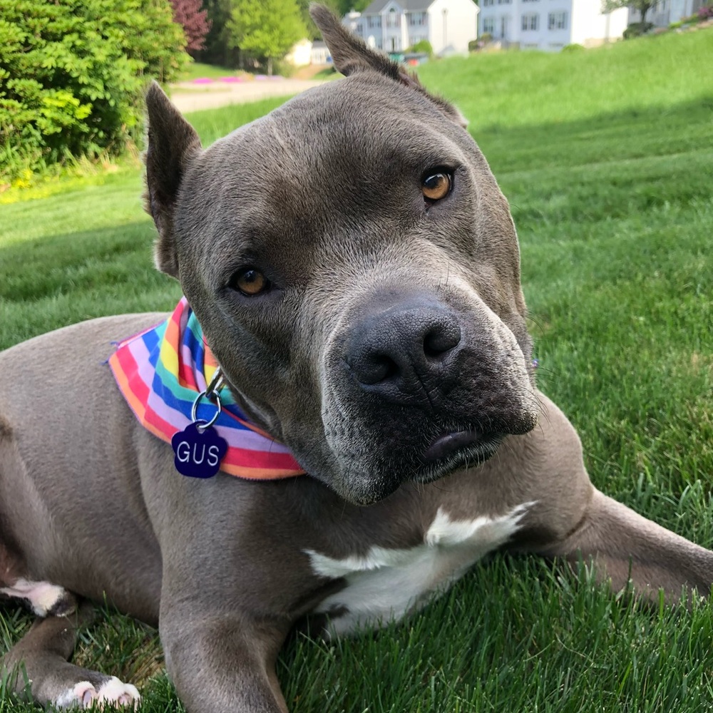 Meet your Posher, Leah